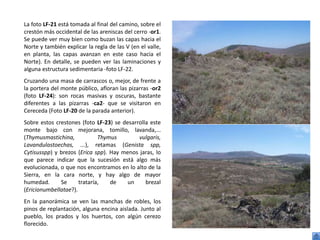 La foto LF-21 está tomada al final del camino, sobre el
crestón más occidental de las areniscas del cerro -or1.
Se puede ver muy bien como buzan las capas hacia el
Norte y también explicar la regla de las V (en el valle,
en planta, las capas avanzan en este caso hacia el
Norte). En detalle, se pueden ver las laminaciones y
alguna estructura sedimentaria -foto LF-22.
Cruzando una masa de carrascos o, mejor, de frente a
la portera del monte público, afloran las pizarras -or2
(foto LF-24): son rocas masivas y oscuras, bastante
diferentes a las pizarras -ca2- que se visitaron en
Cereceda (Foto LF-20 de la parada anterior).
Sobre estos crestones (foto LF-23) se desarrolla este
monte bajo con mejorana, tomillo, lavanda,...
(Thymusmastichina,            Thymus        vulgaris,
Lavandulastoechas, ...), retamas (Genista spp,
Cytisusspp) y brezos (Erica spp). Hay menos jaras, lo
que parece indicar que la sucesión está algo más
evolucionada, o que nos encontramos en lo alto de la
Sierra, en la cara norte, y hay algo de mayor
humedad.      Se      trataría,   de    un     brezal
(Ericionumbellatae?).
En la panorámica se ven las manchas de robles, los
pinos de replantación, alguna encina aislada. Junto al
pueblo, los prados y los huertos, con algún cerezo
florecido.
 