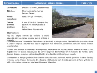 Denominación:                          La Bastida 2, paisaje, cerezos                                  Foto LF-26
  Localización:       Entrada a la Bastida, desde Cilleros.
  Objetivos:          Observación de las huertas.
                      Cerezos. Paisaje.
  Niveles             Todos: Paisaje. Ecosistema.
  curriculares:
  Centros             A unos 37Km de la Fuente de San
  escolares           Esteban por Aldeanueva de la
  próximos:           Sierra.
                      La Bastida no tiene escuela.
  Observaciones:
  Hay una amplia entrada de cemento a mano
  izquierda, con una rampa acusada que da entrada a
  una calle.
  Cruzada la Sierra de Tamames (el flanco Norte del Sinclinal), el paisaje cambia. Desde El Cabaco -o antes, desde
  el Zarzoso- empieza a abundar este tipo de vegetación más meridional, con cerezos plantados incluso en estas
  zonas tan altas.
  En torno a los pueblos, el campo está más explotado, hay huertos con frutales, prados, o tierras de labor. La falta
  de población, y la escasa productividad del terreno se ponen de manifiesto en el abandono del monte a cierta
  distancia de estos pequeños núcleos de población. Ni La Bastida, ni Cilleros tienen escuela.
  El límite entre el melojar y el encinar es bastante confuso a escala provincial. Parece que fuese el estrés hídrico y
  el tipo de suelo el factor dominante. En esta zona está bastante bien definido; pero más al Norte y Oeste, los
  robles y las encinas comparten toda la penillanura de Vitigudino.
 