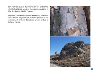 Son areniscas que se depositaron en una plataforma
siliciclástica (o sea, una gran llanura arenosa, como el
Mar del Norte o el Golfo Pérsico).

El paisaje también es llamativo: es Marzo y los brezos
están en flor. Se puede ver el relieve positivo de las
areniscas, el canturral derrubiado y hacia el Sur, la
Peña de Francia.
 
