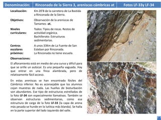 Denominación:        Rinconada de la Sierra 3, areniscas cámbricas at   Fotos LF-33y LF-34
  Localización:     Km 20’8 de la carretera de La Bastida
                    a Rinconada de la Sierra.
  Objetivos:        Observación de la areniscas de
                    Tamames -at.
  Niveles           Todos: Tipos de rocas. Restos de
  curriculares:     actividad orgánica.
                    Bachillerato: Estructuras
                    sedimentarias.
  Centros           A unos 33Km de La Fuente de San
  escolares         Esteban por Rinconada.
  próximos:         La Rinconada no tiene escuela.
  Observaciones:
  El afloramiento está en medio de una curva y difícil para
  que se orille un autocar. Es una pequeña vaguada. Hay
  que entrar en una finca alambrada, pero de
  relativamente fácil acceso.
  En estas areniscas se han encontrado fósiles del
  Cámbrico inferior. No es aconsejable que los alumnos
  cojan muestras de nada. Las huellas de bioturbación
  son abundantes. Ese tipo de estructuras estrelladas de
  la foto LF-34 son especialmente llamativas. También se
  observan estructuras sedimentarias, como esa
  estructura de carga de la foto LF-33 (la capa de arena
  más pesada se hunde en la lutítica más blanda). Se halla
  en la parte superior del lado izquierdo del valle.
 