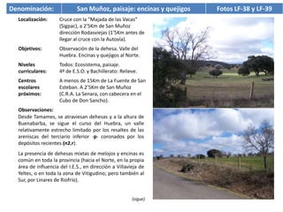 Denominación:                San Muñoz, paisaje: encinas y quejigos   Fotos LF-38 y LF-39
  Localización:      Cruce con la “Majada de las Vacas”
                     (Sigpac), a 2’5Km de San Muñoz
                     dirección Rodasviejas (1’5Km antes de
                     llegar al cruce con la Autovía).
  Objetivos:         Observación de la dehesa. Valle del
                     Huebra. Encinas y quejigos al Norte.
  Niveles            Todos: Ecosistema, paisaje.
  curriculares:      4º de E.S.O. y Bachillerato: Relieve.
  Centros            A menos de 15Km de La Fuente de San
  escolares          Esteban. A 2’5Km de San Muñoz
  próximos:          (C.R.A. La Senara, con cabecera en el
                     Cubo de Don Sancho).
  Observaciones:
  Desde Tamames, se atraviesan dehesas y a la altura de
  Buenabarba, se sigue el curso del Huebra, un valle
  relativamente estrecho limitado por los resaltes de las
  areniscas del terciario inferior -p- coronados por los
  depósitos recientes (n2,r).
  La presencia de dehesas mixtas de melojos y encinas es
  común en toda la provincia (hacia el Norte, en la propia
  área de influencia del I.E.S., en dirección a Villavieja de
  Yeltes, o en toda la zona de Vitigudino; pero también al
  Sur, por Linares de Riofrío).


                                                       (sigue)
 