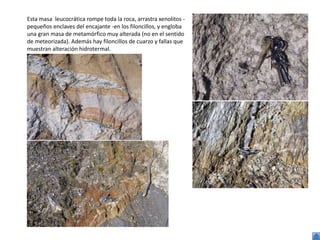 Esta masa leucocrática rompe toda la roca, arrastra xenolitos -
pequeños enclaves del encajante -en los filoncillos, y engloba
una gran masa de metamórfico muy alterada (no en el sentido
de meteorizada). Además hay filoncillos de cuarzo y fallas que
muestran alteración hidrotermal.
 