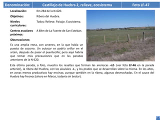 Denominación:               Castillejo de Huebra 2, relieve, ecosistema                              Foto LF-47
  Localización:        Km 284 de la N-620.
  Objetivos:           Ribera del Huebra.
  Niveles              Todos: Relieve. Paisaje. Ecosistema.
  curriculares:
  Centros escolares    A 8Km de La Fuente de San Esteban.
  próximos:
  Observaciones:
  Es una amplia recta, con arcenes, en la que había un
  puesto de socorro. Un autocar se podría orillar en el
  arcén, después de pasar el puentecillo; pero aquí habría
  que tomar más precauciones que en las paradas
  anteriores de la N-620.
  Esta última parada, o foto, muestra los resaltes que forman las areniscas -n2- (ver foto LF-46 en la parada
  anterior), la ribera del Huebra, con los aluviales -c-, y los prados que se desarrollan sobre la misma. En los altos,
  en zonas menos productivas hay encinas; aunque también en la ribera, algunas desmochadas. En el cauce del
  Huebra hay fresnos (ahora en Marzo, todavía sin brotar).
 