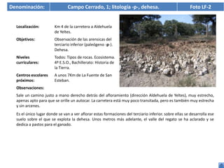 Denominación:                   Campo Cerrado, 1; litología -p-, dehesa.                                Foto LF-2


  Localización:         Km 4 de la carretera a Aldehuela
                        de Yeltes.
  Objetivos:            Observación de las arensicas del
                        terciario inferior (paleógeno -p-).
                        Dehesa.
  Niveles               Todos: Tipos de rocas. Ecosistema.
  curriculares:         4º E.S.O., Bachillerato: Historia de
                        la Tierra.
  Centros escolares     A unos 7Km de La Fuente de San
  próximos:             Esteban.
  Observaciones:
  Sale un camino justo a mano derecho detrás del afloramiento (dirección Aldehuela de Yeltes), muy estrecho,
  apenas apto para que se orille un autocar. La carretera está muy poco transitada, pero es también muy estrecha
  y sin arcenes.
  Es el único lugar donde se van a ver aflorar estas formaciones del terciario inferior. sobre ellas se desarrolla ese
  suelo sobre el que se explota la dehesa. Unos metros más adelante, el valle del regato se ha aclarado y se
  dedica a pastos para el ganado.
 