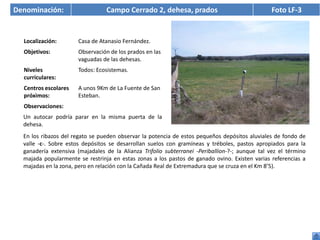 Denominación:                    Campo Cerrado 2, dehesa, prados                                Foto LF-3


  Localización:        Casa de Atanasio Fernández.
  Objetivos:           Observación de los prados en las
                       vaguadas de las dehesas.
  Niveles              Todos: Ecosistemas.
  curriculares:
  Centros escolares    A unos 9Km de La Fuente de San
  próximos:            Esteban.
  Observaciones:
  Un autocar podría parar en la misma puerta de la
  dehesa.
  En los ribazos del regato se pueden observar la potencia de estos pequeños depósitos aluviales de fondo de
  valle -c-. Sobre estos depósitos se desarrollan suelos con gramíneas y tréboles, pastos apropiados para la
  ganadería extensiva (majadales de la Alianza Trifolio subterranei -Periballion-?-; aunque tal vez el término
  majada popularmente se restrinja en estas zonas a los pastos de ganado ovino. Existen varias referencias a
  majadas en la zona, pero en relación con la Cañada Real de Extremadura que se cruza en el Km 8’5).
 