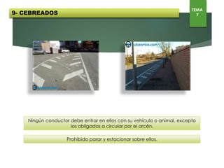 Ningún conductor debe entrar en ellos con su vehículo o animal, excepto los obligados a circular por
el arcén.
Prohibido parar y estacionar sobre ellos.
9- CEBREADOS
TEMA
7
 