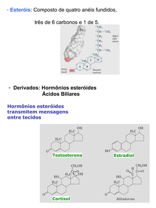 Esteróis : Composto de quatro anéis fundidos,  três de 6 carbonos e 1 de 5.  Derivados: Hormônios esteróides Ácidos Biliares Testosterona Hormônios esteróides transmitem mensagens entre tecidos Cortisol Estradiol 