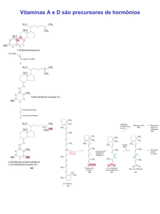 Vitaminas A e D são precursores de hormônios 