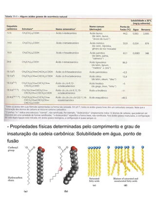 - Propriedades físicas determinadas pelo comprimento e grau de insaturação da cadeia carbônica: Solubilidade em água, ponto de fusão  