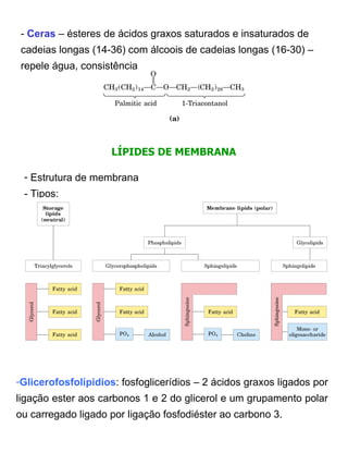 -  Ceras  – ésteres de ácidos graxos saturados e insaturados de cadeias longas (14-36) com álcoois de cadeias longas (16-30) –repele água, consistência LÍPIDES DE MEMBRANA Estrutura de membrana - Tipos:  Glicerofosfolípidios : fosfoglicerídios – 2 ácidos graxos ligados por ligação ester aos carbonos 1 e 2 do glicerol e um grupamento polar ou carregado ligado por ligação fosfodiéster ao carbono 3. 