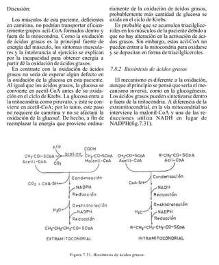 Discusión:                                         riamente de la oxidación de ácidos grasos,
                                                   probablemente más cantidad de glucosa se
   Los músculos de esta paciente, deficientes      oxida en el ciclo de Krebs.
en camitina, no podrían transportar eficien-          Es probable que se acumulen triacilglice-
temente grupos acil-CoA formados dentro y          roles en los músculos de la paciente debido a
fuera de la mitocondria. Como la oxidación         que no hay alteración en la activación de áci-
de ácidos grasos es la principal fuente de         dos grasos. Sin embargo, estos acil-CoA no
energía del músculo, los síntomas muscula-         pueden entrar a la mitocondria para oxidarse
res y la intolerancia al ejercicio se explican     y se depositan en forma de triacilgliceroles.
por la incapacidad para obtener energía a
partir dé la oxidación de ácidos grasos.
   En contraste con la oxidación de ácidos         7.8.2 Biosíntesis de ácidos grasos
grasos no sería de esperar algún defecto en
la oxidación de la glucosa en esta paciente.          El mecanismo es diferente a la oxidación,
Al igual que los ácidos grasos, la glucosa se      aunque al principio se pensó que sería el me-
convierte en acetil-CoA antes de su oxida-         canismo inverso, como en la glucogénesis.
ción en el ciclo de Krebs. La glucosa entra a      Los ácidos grasos pueden sintetizarse dentro
la mitocondria como piruvato, y éste se con-       o fuera de la mitocondria. A diferencia de la
vierte en acetil-CoA; por lo tanto, este paso      extramitocondrial, en la vía mitocondrial no
no requiere de camitina y no se afectará la        interviene la malonil-CoA y una de las re-
oxidación de la glucosa!. De hecho, a fin de       ducciones utiliza NADH en lugar de
reemplazar la energía que proviene ordina-         NADPH(fig.7.31).




                             Figura 7.31. Biosíntesis de ácidos grasos.
 