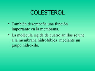COLESTEROL ,[object Object],[object Object]