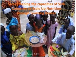 Strengthening the capacities of SUN
Countries to Scale Up Nutrition
through Learning Routes
Giulia Pedone, PROCASUR, London February 10, 2016
 