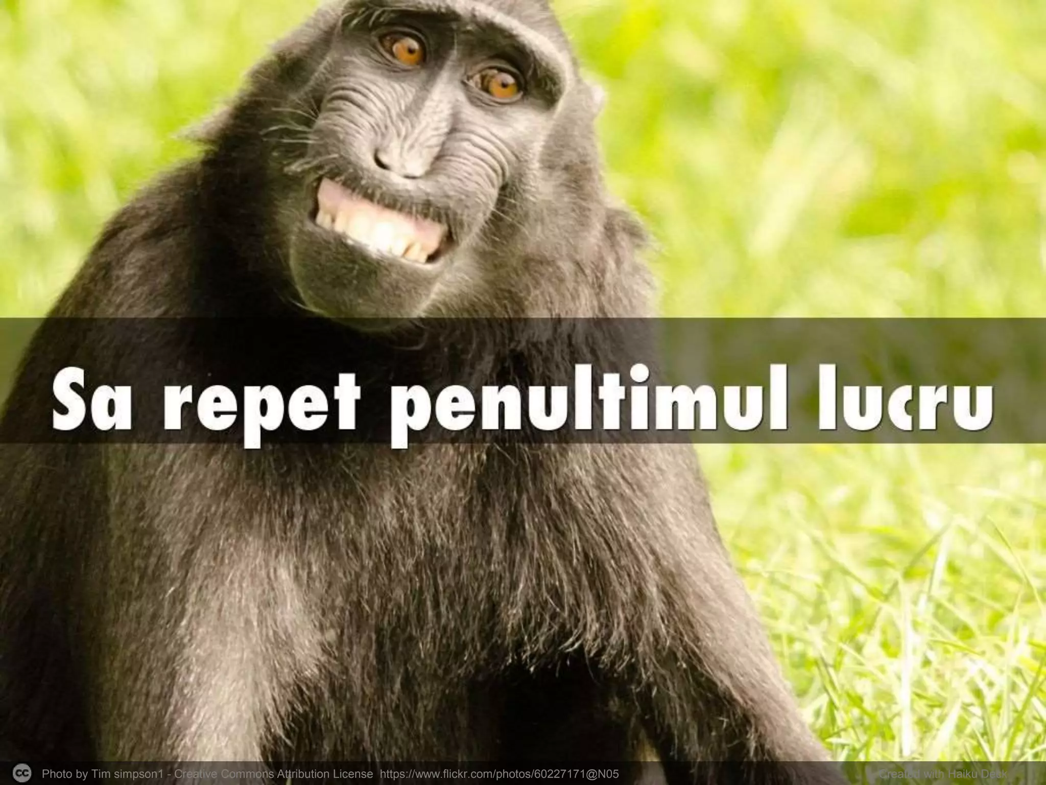 Photo by Tim simpson1 - Creative Commons Attribution License https://www.flickr.com/photos/60227171@N05 Created with Haiku Deck
 