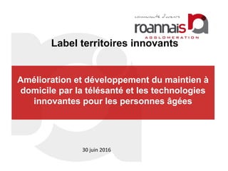 Amélioration et développement du maintien à
domicile par la télésanté et les technologies
innovantes pour les personnes âgées
Label territoires innovants
30 juin 2016
 