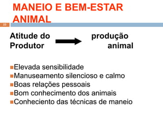 MANEIO E BEM-ESTAR
ANIMAL
Atitude do produção
Produtor animal
Elevada sensibilidade
Manuseamento silencioso e calmo
Boas relações pessoais
Bom conhecimento dos animais
Conheciento das técnicas de maneio
23
 