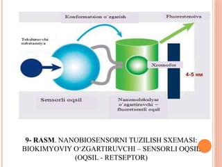Sensorli Rasm 7-ma`ruza biosensorlar.pptx biosensorlarning | PPTX