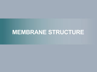 MEMBRANE STRUCTURE
 