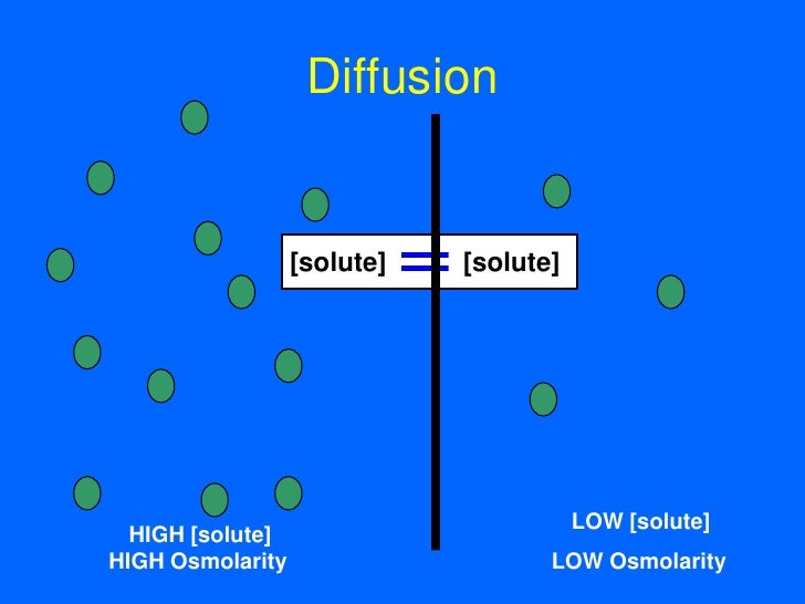 7Membrane Transport I