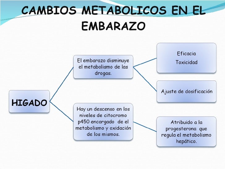 7 Metabolicos Y Endocrinos En El Embarazo