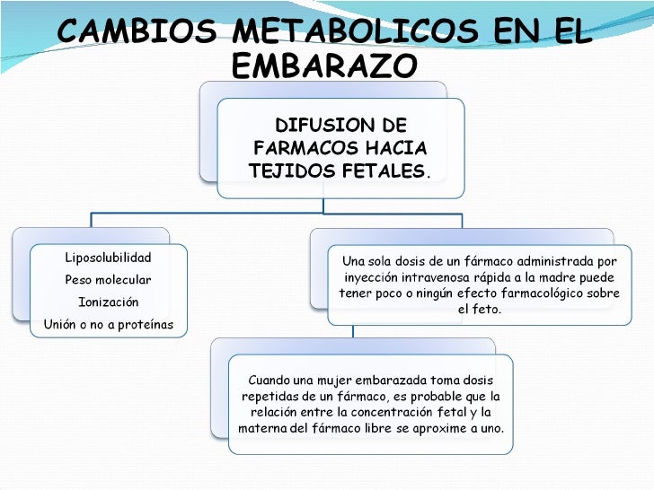 7 Metabolicos Y Endocrinos En El Embarazo