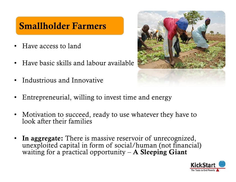 AMERMS 7 Microcredit and Crop Agriculture to Address Food Insecurity (PPT by John Kihia)