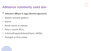 Adhesive commonly used are-
• Albumin (Meyer’s egg albumin-glycerol)
• Gelatin (chrome gelatin)
• Starch
• Dilute serum or plasma
• Poly-L-Lysine (PLL)
• 3-AminoPropyltriEthoxySilane ( APES)
• Charged or Plus slides
 