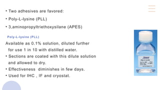 • Two adhesives are favored:
• Poly-L-lysine (PLL)
• 3,aminopropyltriethoxysilane (APES)
Poly-L-lysine (PLL)
Available as 0.1% solution, diluted further
for use 1 in 10 with distilled water.
• Sections are coated with this dilute solution
and allowed to dry.
• Effectiveness diminishes in few days.
• Used for IHC , IF and cryostat.
 