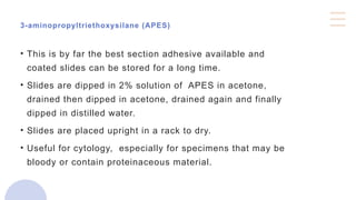 3-aminopropyltriethoxysilane (APES)
• This is by far the best section adhesive available and
coated slides can be stored for a long time.
• Slides are dipped in 2% solution of APES in acetone,
drained then dipped in acetone, drained again and finally
dipped in distilled water.
• Slides are placed upright in a rack to dry.
• Useful for cytology, especially for specimens that may be
bloody or contain proteinaceous material.
 