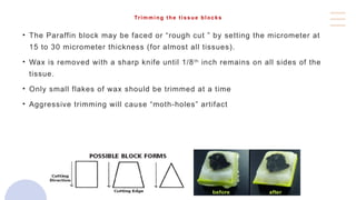 Trimming the tissue blocks
• The Paraffin block may be faced or “rough cut ” by setting the micrometer at
15 to 30 micrometer thickness (for almost all tissues).
• Wax is removed with a sharp knife until 1/8th
inch remains on all sides of the
tissue.
• Only small flakes of wax should be trimmed at a time
• Aggressive trimming will cause “moth-holes” artifact
 