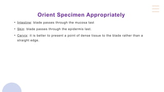 Orient Specimen Appropriately
• Intestine: blade passes through the mucosa last
• Skin: blade passes through the epidermis last.
• Cervix: it is better to present a point of dense tissue to the blade rather than a
straight edge.
 