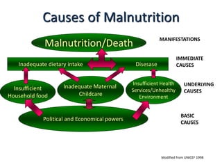Causes of Malnutrition
Malnutrition/Death
Inadequate dietary intake Disesase
Insufficient
Household food
MANIFESTATIONS
IMMEDIATE
CAUSES
UNDERLYING
CAUSES
BASIC
CAUSES
Political and Economical powers
Inadequate Maternal
Childcare
Insufficient Health
Services/Unhealthy
Environment
Modified from UNICEF 1998
 