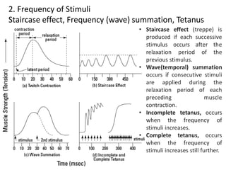 7 muscular-force (1) | PDF
