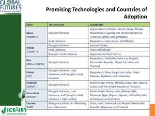 Foresight analysis and ex- ante assessment of promising technologies: To inform decision making