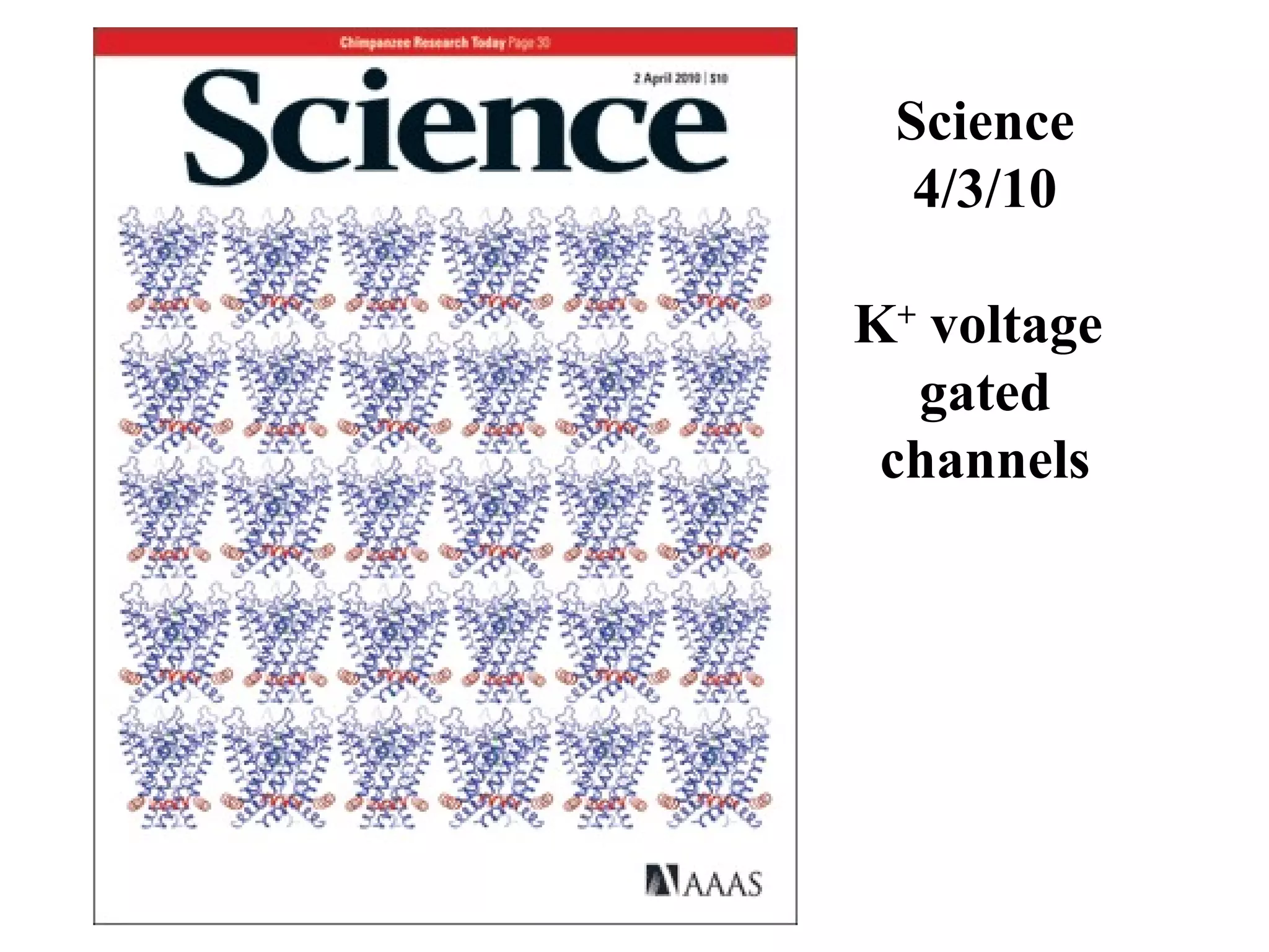 Science
4/3/10
K+
voltage
gated
channels
 