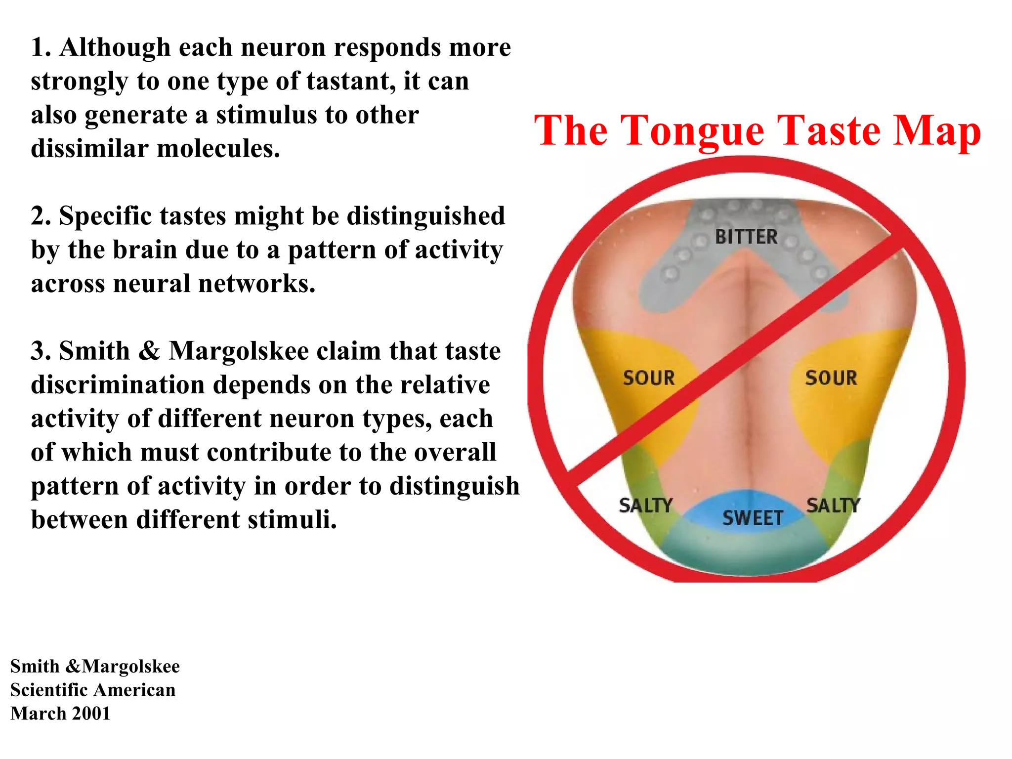The Tongue Taste Map
Smith &Margolskee
Scientific American
March 2001
1. Although each neuron responds more
strongly to one type of tastant, it can
also generate a stimulus to other
dissimilar molecules.
2. Specific tastes might be distinguished
by the brain due to a pattern of activity
across neural networks.
3. Smith & Margolskee claim that taste
discrimination depends on the relative
activity of different neuron types, each
of which must contribute to the overall
pattern of activity in order to distinguish
between different stimuli.
 