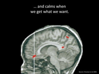 …	
  and	
  calms	
  when	
   
we	
  get	
  what	
  we	
  want.

Source:	
  Knutson	
  et	
  al	
  2001

 