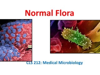 Normal Flora
CLS 212: Medical Microbiology
 
