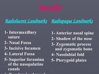 Maxilla
Radiolucent Landmarks
1- Intermaxillary
suture
2- Nasal Fossa
3- Incisive foramen
4- Lateral Fossa
5- Superior foramina
of the nasopalatine
canals
Radiopaque Landmarks
1- Anterior nasal spine
2- Shadow of the nose
3- Zygomatic process
and zygomatic bone
4- Nasolabial fold
5- Pterygoid plates
 