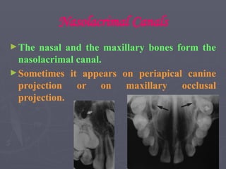 Nasolacrimal Canals
►The nasal and the maxillary bones form the
nasolacrimal canal.
►Sometimes it appears on periapical canine
projection or on maxillary occlusal
projection.
 