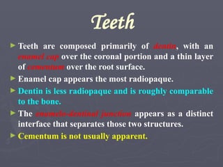 Teeth
► Teeth are composed primarily of dentin, with an
enamel cap over the coronal portion and a thin layer
of cementum over the root surface.
► Enamel cap appears the most radiopaque.
► Dentin is less radiopaque and is roughly comparable
to the bone.
► The enamelo-dentinal junction appears as a distinct
interface that separates those two structures.
► Cementum is not usually apparent.
 