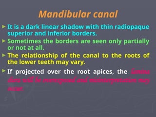 Mandibular canal
► It is a dark linear shadow with thin radiopaque
superior and inferior borders.
► Sometimes the borders are seen only partially
or not at all.
► The relationship of the canal to the roots of
the lower teeth may vary.
► If projected over the root apices, the lamina
dura will be overexposed and misinterpretation may
occur.
 