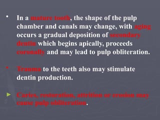 • In a mature tooth, the shape of the pulp
chamber and canals may change, with aging
occurs a gradual deposition of secondary
dentin which begins apically, proceeds
coronally and may lead to pulp obliteration.
• Trauma to the teeth also may stimulate
dentin production.
► Caries, restoration, attrition or erosion may
cause pulp obliteration.
 
