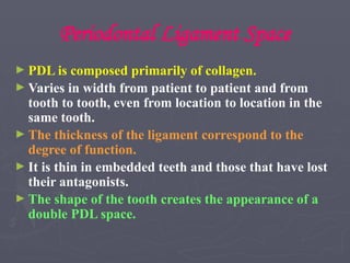 Periodontal Ligament Space
► PDL is composed primarily of collagen.
► Varies in width from patient to patient and from
tooth to tooth, even from location to location in the
same tooth.
► The thickness of the ligament correspond to the
degree of function.
► It is thin in embedded teeth and those that have lost
their antagonists.
► The shape of the tooth creates the appearance of a
double PDL space.
 