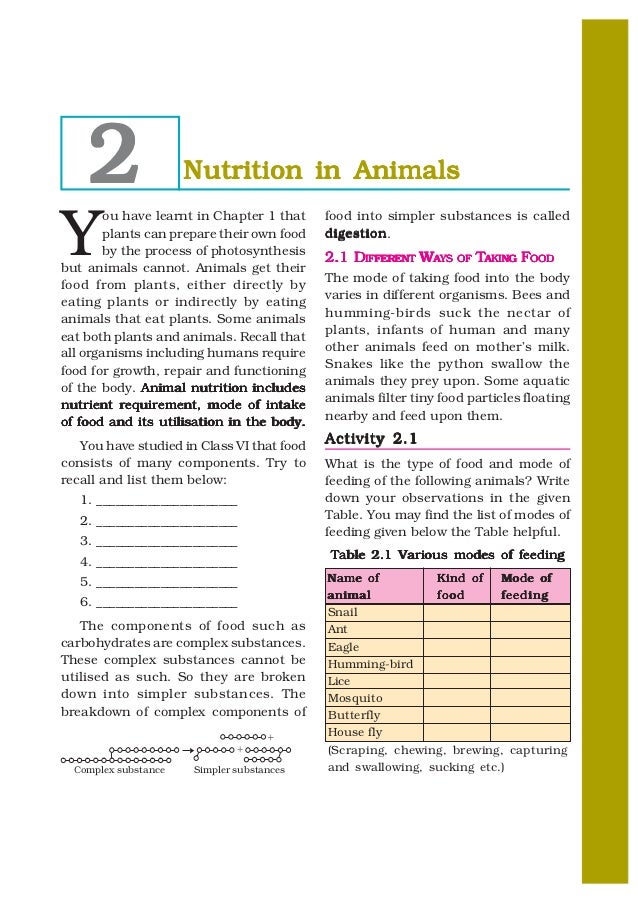 7 nutrition in animals