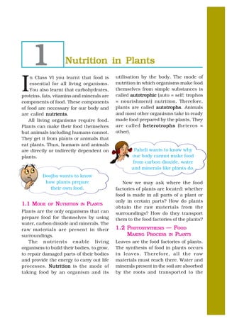 1               Nutrition in Plants


I
    n Class VI you learnt that food is      utilisation by the body. The mode of
    essential for all living organisms.     nutrition in which organisms make food
    You also learnt that carbohydrates,     themselves from simple substances is
proteins, fats, vitamins and minerals are   called autotrophic (auto = self; trophos
components of food. These components        = nourishment) nutrition. Therefore,
of food are necessary for our body and      plants are called autotrophs Animals
                                                               autotrophs.
are called nutrients
             nutrients.                     and most other organisms take in ready
    All living organisms require food.      made food prepared by the plants. They
Plants can make their food themselves       are called heterotrophs (heteros =
but animals including humans cannot.        other).
They get it from plants or animals that
eat plants. Thus, humans and animals
are directly or indirectly dependent on             Paheli wants to know why
plants.                                            our body cannot make food
                                                   from carbon dioxide, water
                                                   and minerals like plants do.
         Boojho wants to know
          how plants prepare                   Now we may ask where the food
            their own food.                 factories of plants are located: whether
                                            food is made in all parts of a plant or
                                            only in certain parts? How do plants
1.1 MODE    OF   NUTRITION   IN   PLANTS
                                            obtain the raw materials from the
Plants are the only organisms that can      surroundings? How do they transport
prepare food for themselves by using        them to the food factories of the plants?
water, carbon dioxide and minerals. The
raw materials are present in their          1 .2 PHOTOSYNTHESIS — FOOD
surroundings.                                    MAKING PROCESS IN PLANTS
    The nutrients enable living             Leaves are the food factories of plants.
organisms to build their bodies, to grow,   The synthesis of food in plants occurs
to repair damaged parts of their bodies     in leaves. Therefore, all the raw
and provide the energy to carry out life    materials must reach there. Water and
processes. Nutrition is the mode of         minerals present in the soil are absorbed
taking food by an organism and its          by the roots and transported to the
 