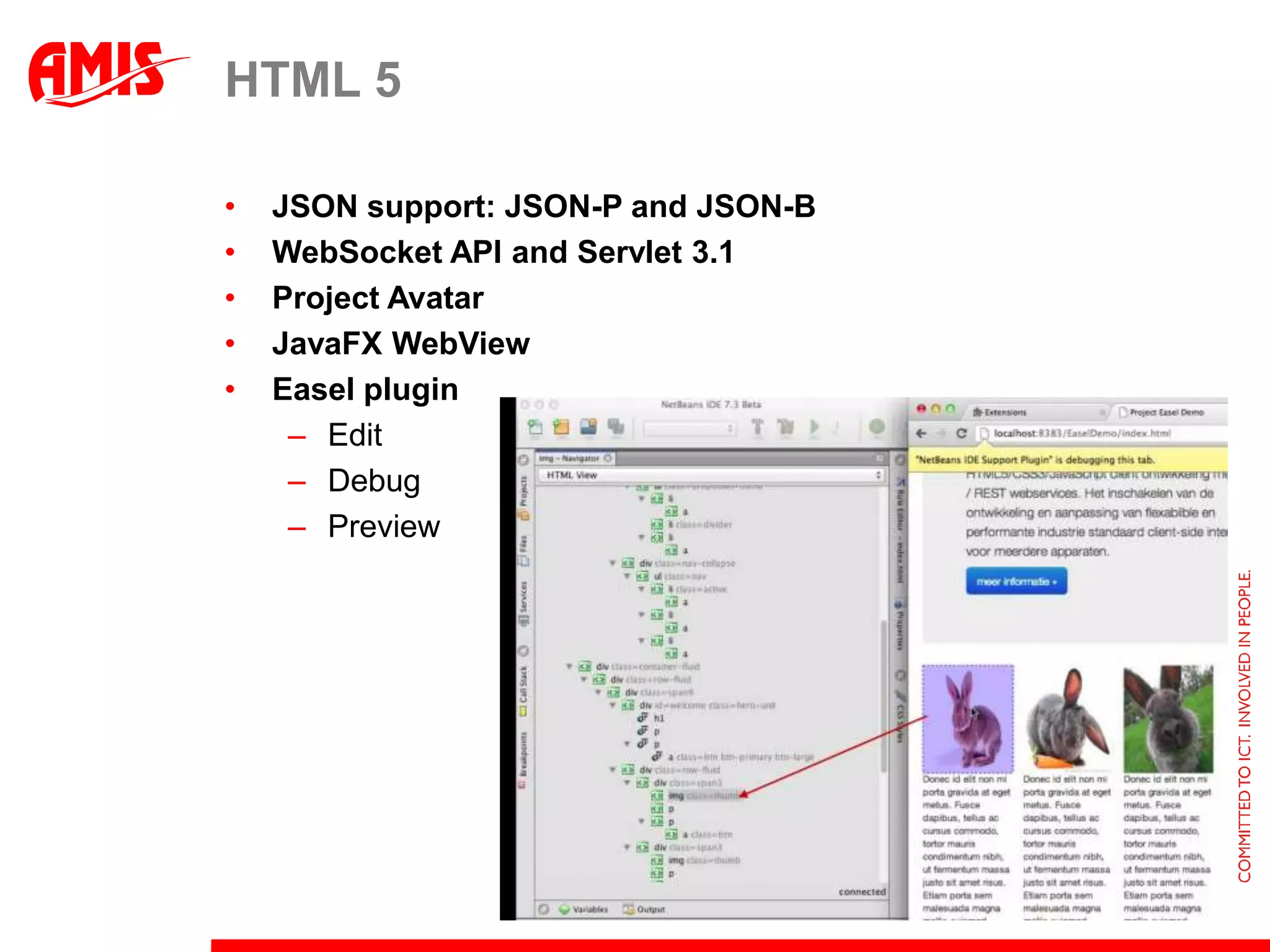 HTML 5

•   JSON support: JSON-P and JSON-B
•   WebSocket API and Servlet 3.1
•   Project Avatar
•   JavaFX WebView
•   Easel plugin
     – Edit
     – Debug
     – Preview
 