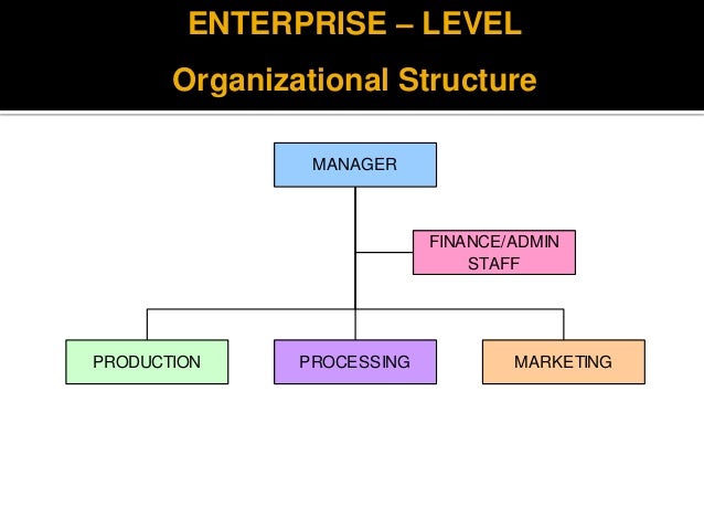 Sole Proprietorship Organizational Chart An Interview Of A Sole 