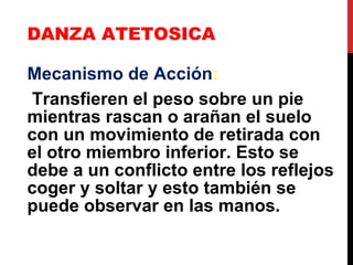 DANZA ATETOSICA Mecanismo de Acción : Transfieren el peso sobre un pie mientras rascan o arañan el suelo con un movimiento de retirada con el otro miembro inferior. Esto se debe a un conflicto entre los reflejos coger y soltar y esto también se puede observar en las manos. 