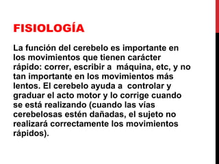FISIOLOGÍA La función del cerebelo es importante en los movimientos que tienen carácter rápido: correr, escribir a  máquina, etc, y no tan importante en los movimientos más lentos. El cerebelo ayuda a  controlar y graduar el acto motor y lo corrige cuando se está realizando (cuando las vías cerebelosas estén dañadas, el sujeto no realizará correctamente los movimientos rápidos). 